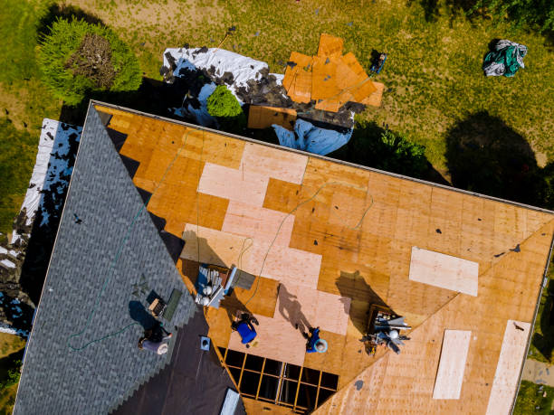 Best Roof Repair Services  in Exandria, AL