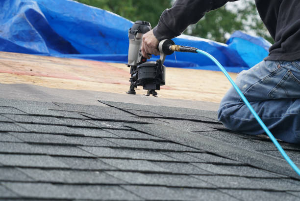 Best New Roof Installation  in Exandria, AL
