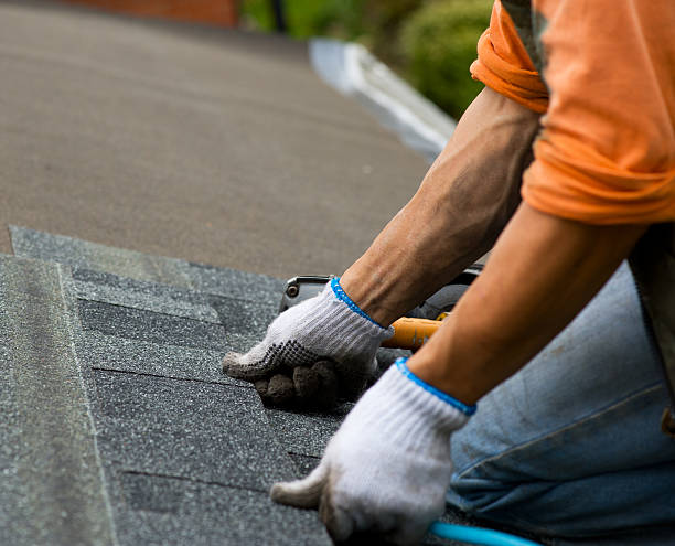 Best Roof Leak Repair  in Exandria, AL
