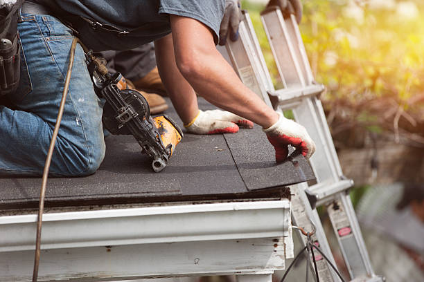 Best Shingle Roofing Installation  in Exandria, AL